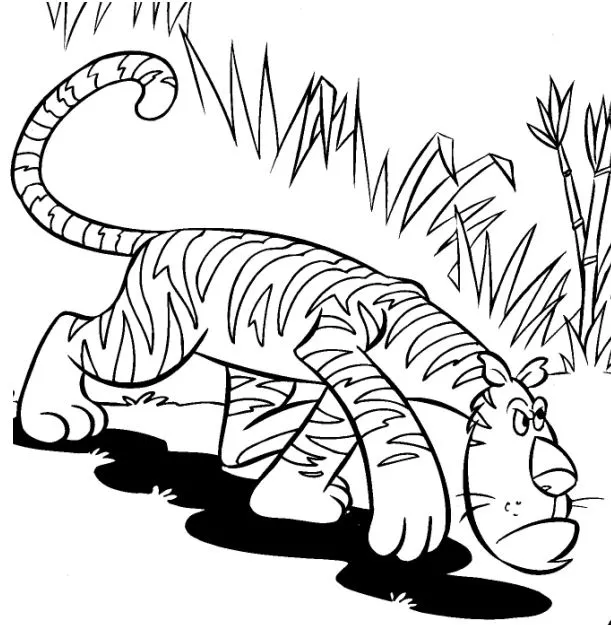 Imagenes De Tigres De Bengala Para Colorear Imagenes De Tigres De Bengala Para Colorear