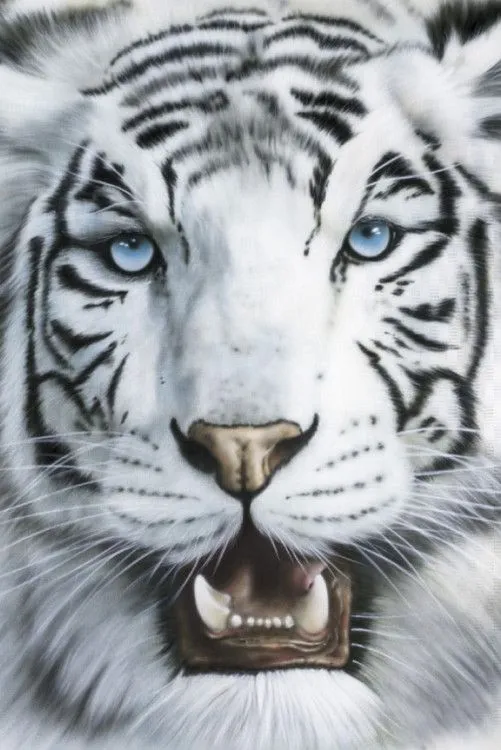 Imagenes 3D y HD de tigres blancos - Imagui Imagenes 3D y HD de tigres blancos - Imagui