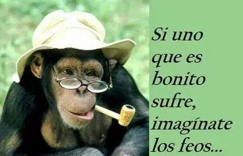 Imagenes de todo tipo, con frases, mensajes animados con ... Imagenes de todo tipo, con frases, mensajes animados con ...