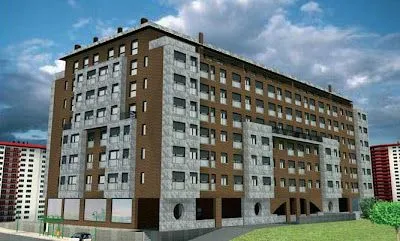 Pisos Obra Nueva: enero 2009