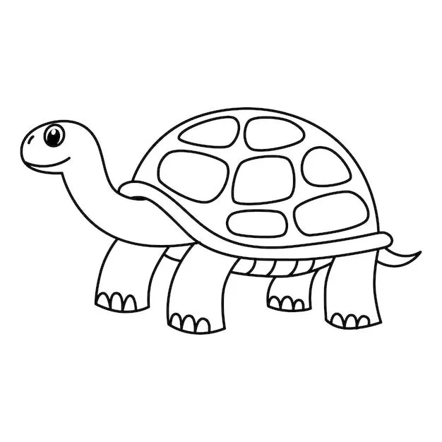Imágenes de Tortuga Colorear - Descarga gratuita en Freepik Imágenes de Tortuga Colorear - Descarga gratuita en Freepik