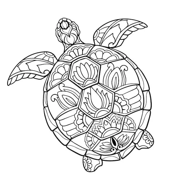 Imágenes de Tortuga Colorear - Descarga gratuita en Freepik Imágenes de Tortuga Colorear - Descarga gratuita en Freepik