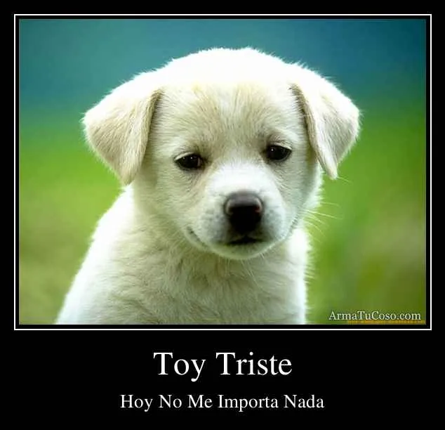 Toy Triste