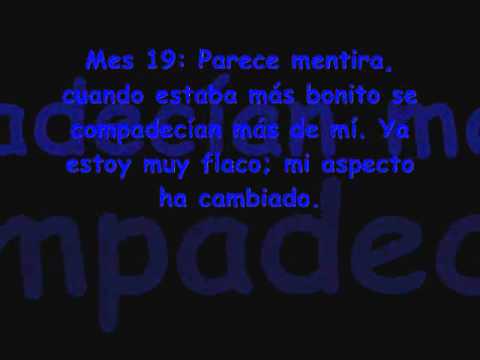 una historia... muy triste para llorar (por miguelillo) para meli ... una historia... muy triste para llorar (por miguelillo) para meli ...