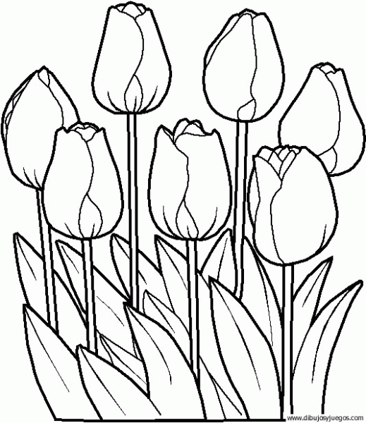 dibujo-flores-tulipanes-003 | Dibujos y juegos, para pintar y colorear dibujo-flores-tulipanes-003 | Dibujos y juegos, para pintar y colorear