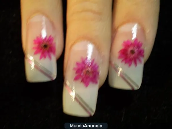 Albun d unas decoradas - Imagui