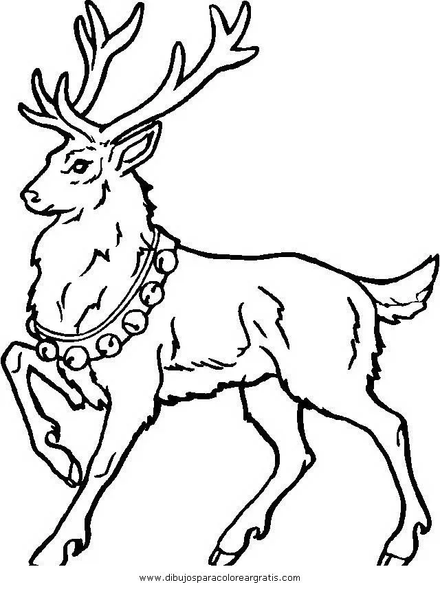 imágenes de venado Colouring Pages