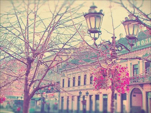 Imagenes vintage tumblr - Imagui