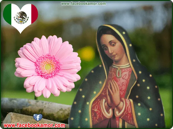 Imagenes de la Virgen de Guadalupe para Facebook - Imagui