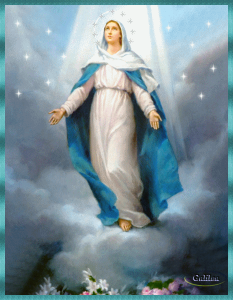 Imágenes de la virgen María con movimiento | Descargar imágenes gratis Imágenes de la virgen María con movimiento | Descargar imágenes gratis