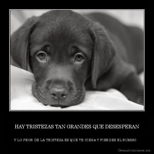 Imagenes para Whatsapp: Imagenes de tristeza para whatsapp