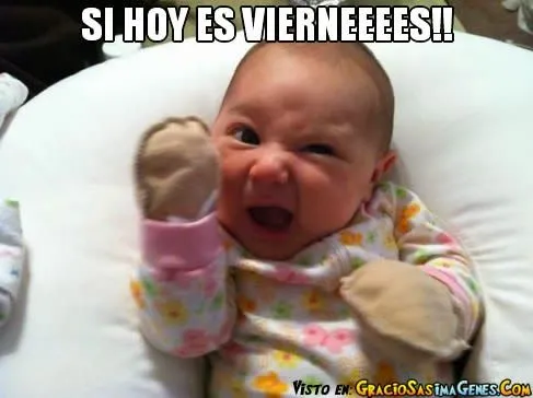 Imágenes Para Whatsapp, Graciosas, Chistosas Y De Risa Para ... Imágenes Para Whatsapp, Graciosas, Chistosas Y De Risa Para ...