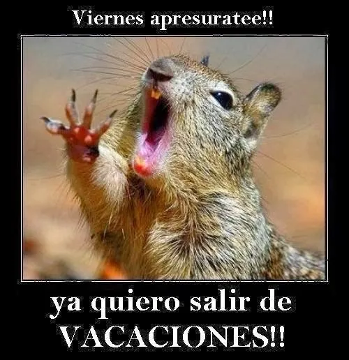 Imagenes para Whatsapp: Imagenes groseras para whatsapp Imagenes para Whatsapp: Imagenes groseras para whatsapp