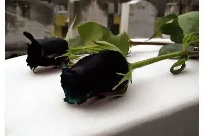 Imágenes para whatsapp de luto | Imagenes Bonitas