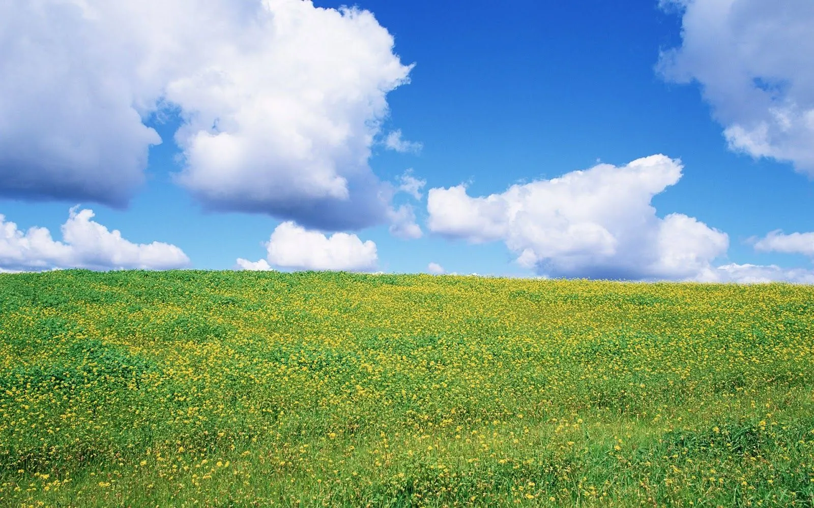 Imagenes ZT - Descarga fondos HD: Fondo de Pantalla Paisajes Campo ... Imagenes ZT - Descarga fondos HD: Fondo de Pantalla Paisajes Campo ...