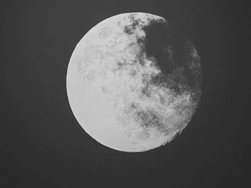 Imagenes/GIFs en Blanco y Negro - Taringa!