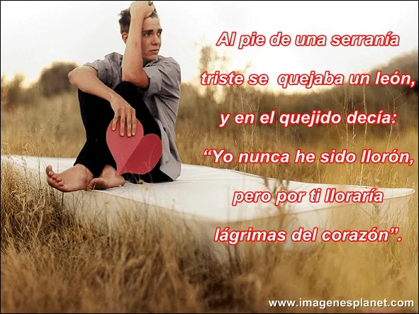 imagenes+romanticas+de+amor+ ...