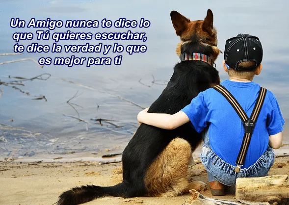 imagenes+romanticas+de+amor+19.png