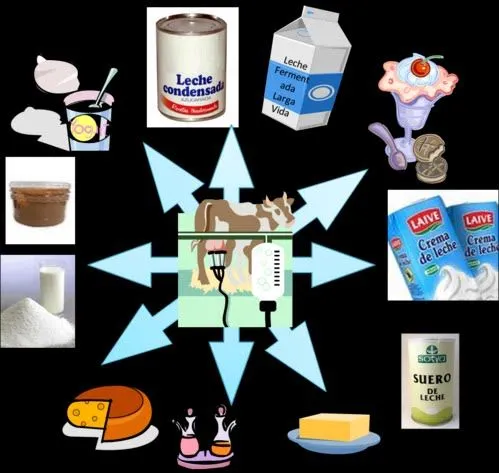 imagen+lacteos.bmp