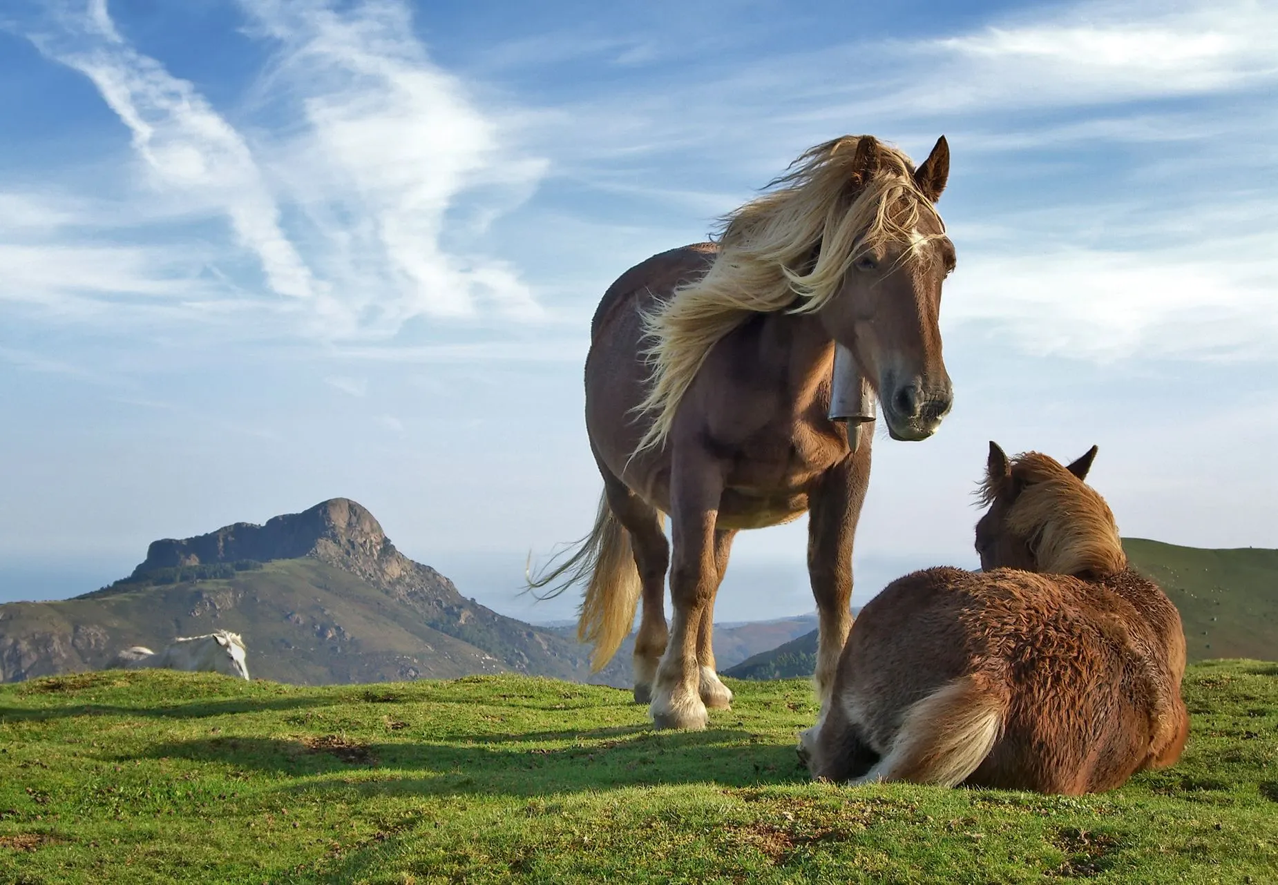 Imagens bonitas!!!