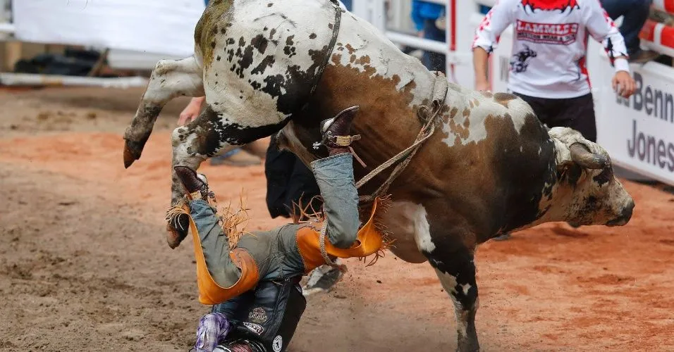 Imagens do dia - 5 de julho de 2013 - Fotos - UOL Notícias