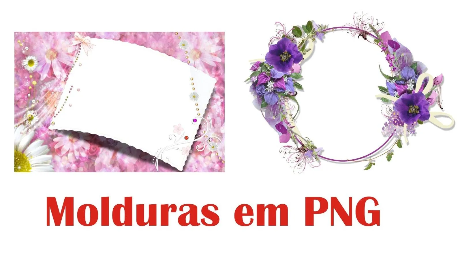 Imagens7 - Um Mundo em Imagens: 4 Molduras de Flores e Rosas em PNG Imagens7 - Um Mundo em Imagens: 4 Molduras de Flores e Rosas em PNG