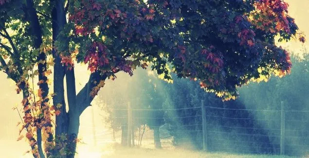 images for facebook covers on Pinterest | Facebook, Naturaleza and ... images for facebook covers on Pinterest | Facebook, Naturaleza and ...