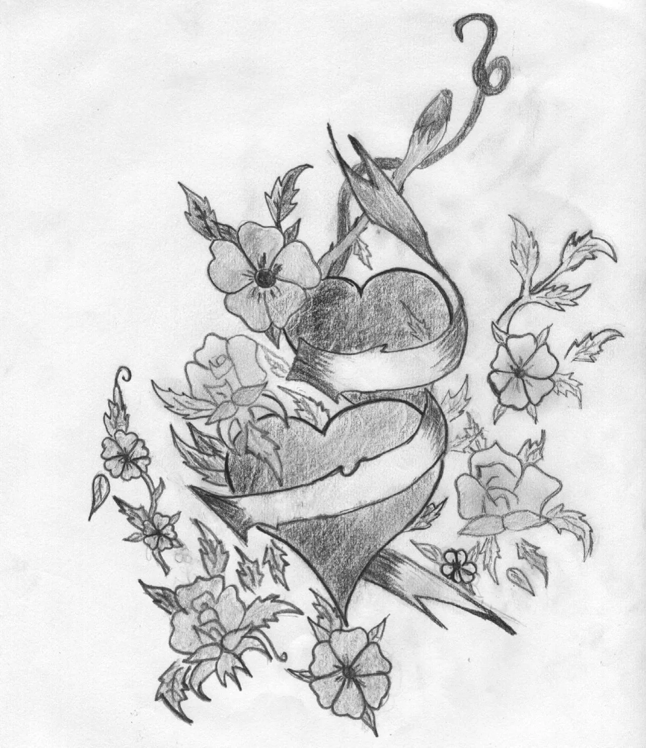 Images For > Girasol Dibujo A Lapiz