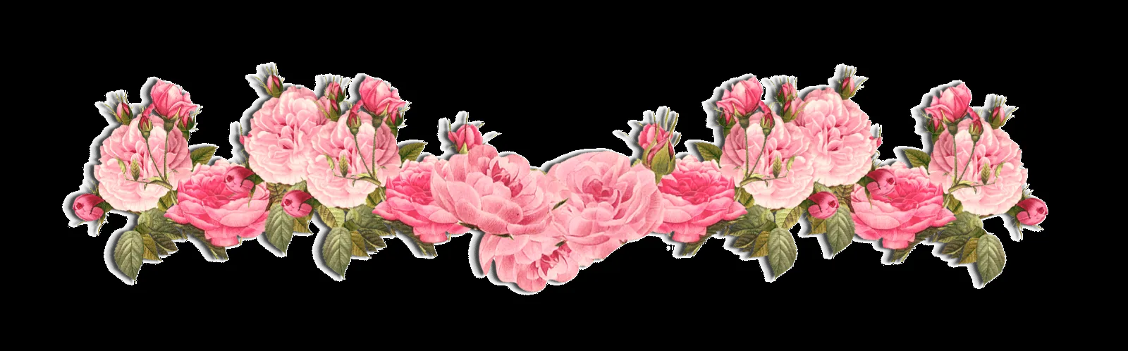 Images For > Pink Roses Border