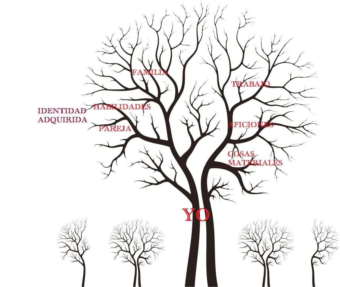Images For > Rama De Arbol Dibujo