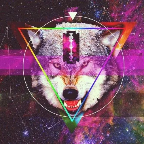 Imaginación Sin Fin • #hipster #ilustracion #lobo #colors #galaxy