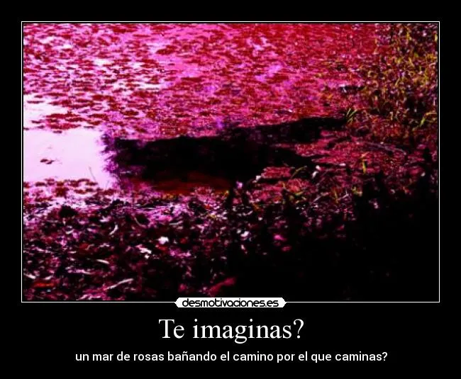 Te imaginas? | Desmotivaciones