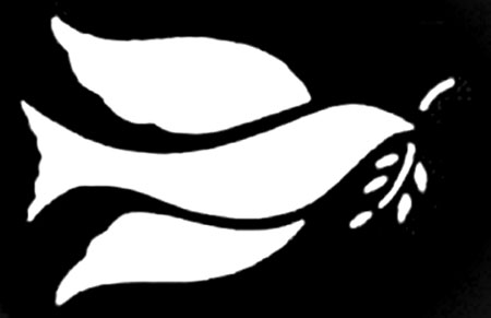 Stencil - Imagui