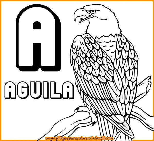 Imajenes de animales con la letra a - Imagui Imajenes de animales con la letra a - Imagui