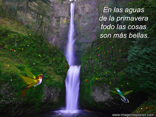 Imgenes Bellas En Movimiento Frases Lindas Con Imagenes | West ...