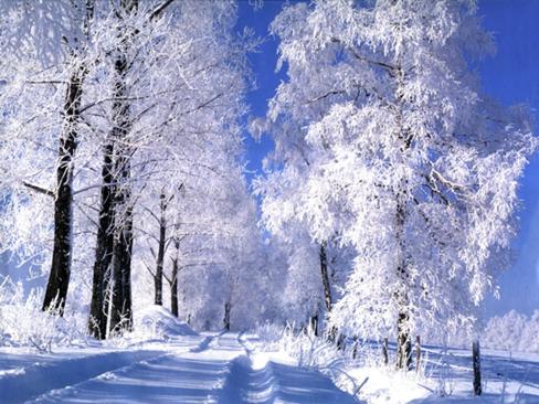 Sentiero d'inverno | Oltre il cancello