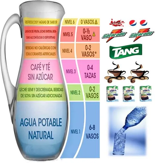 Impacto de la jarra del buen beber en la sociedad - Monografias.com