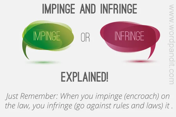 Impinge & Infringe | cat.