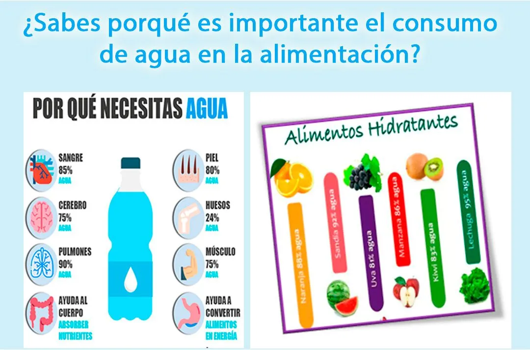 LA IMPORTANCIA DEL AGUA EN LA ALIMENTACIÓN | Centro de Atención Neurológico  Integral
