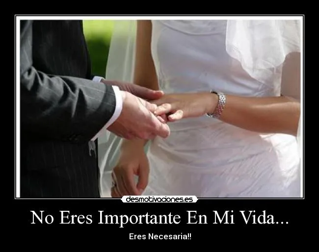 No Eres Importante En Mi Vida... | Desmotivaciones