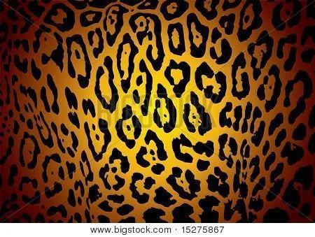 Impresión Animal vectores, fotos e ilustraciones en stock | Bigstock