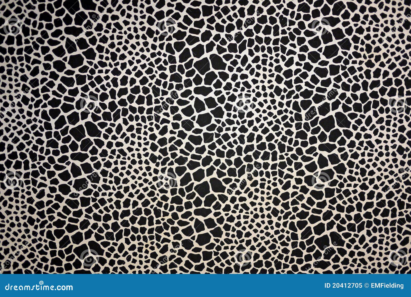 Impresión Blanca Negra De La Piel Animal De La Textura Foto de ...