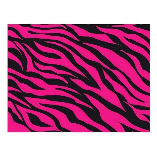 Impresión negra fucsia de las rayas de la cebra de postal | Zazzle