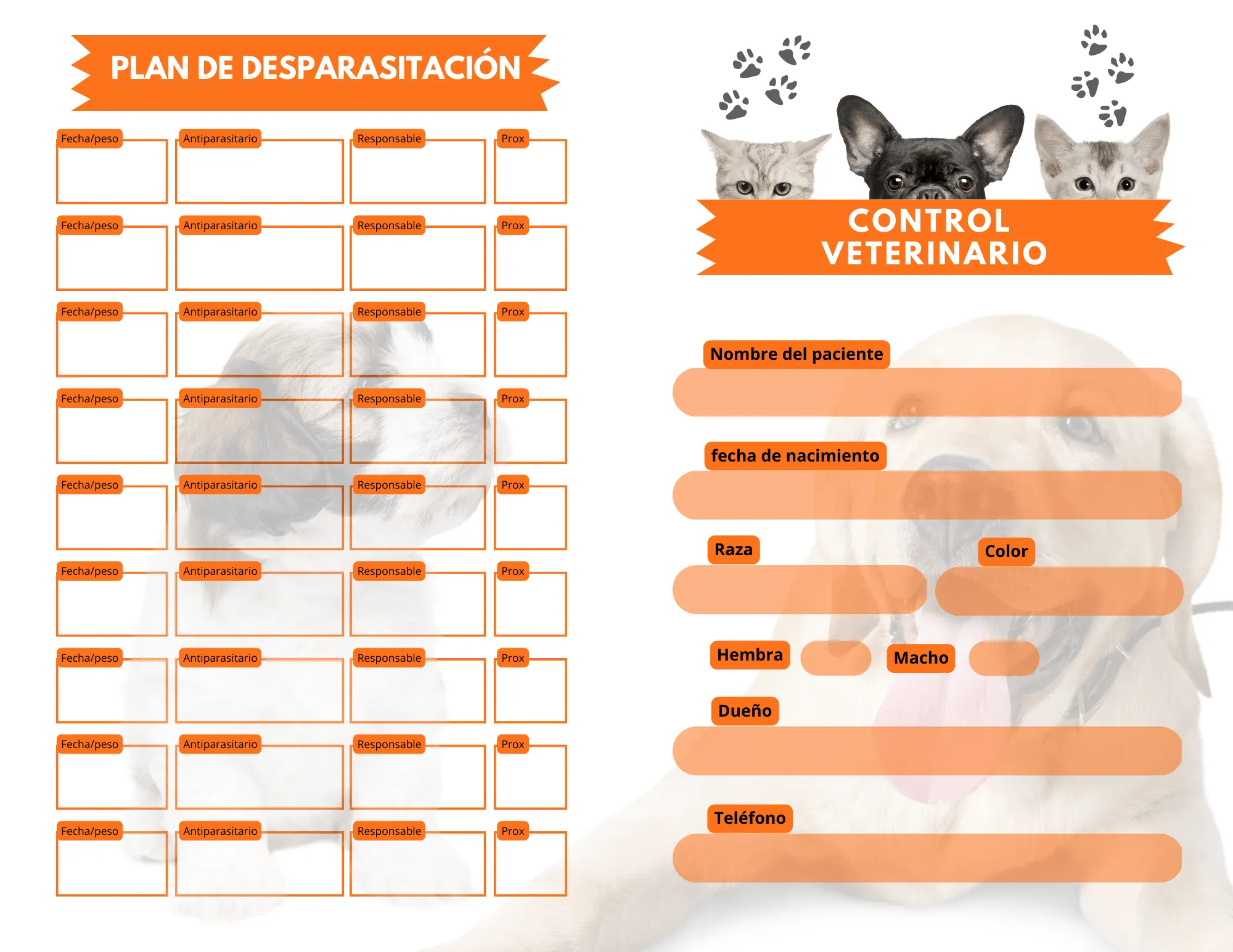 impresión papelería médica - Recetarios Médicos Papelería Médica impresión papelería médica - Recetarios Médicos Papelería Médica