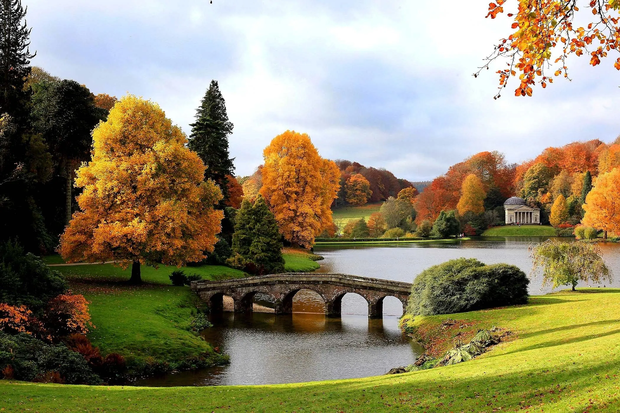 Un impresionante paisaje hermoso rico lujoso otoño dorado en el ...