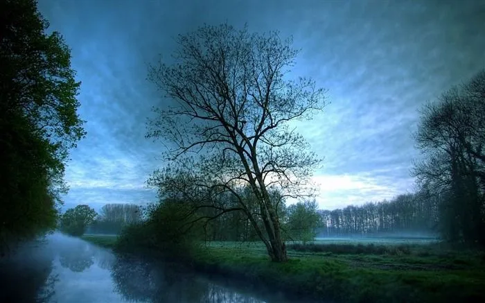 Impresionantes fondos de pantalla HD naturaleza #1 - Fondo de ... Impresionantes fondos de pantalla HD naturaleza #1 - Fondo de ...