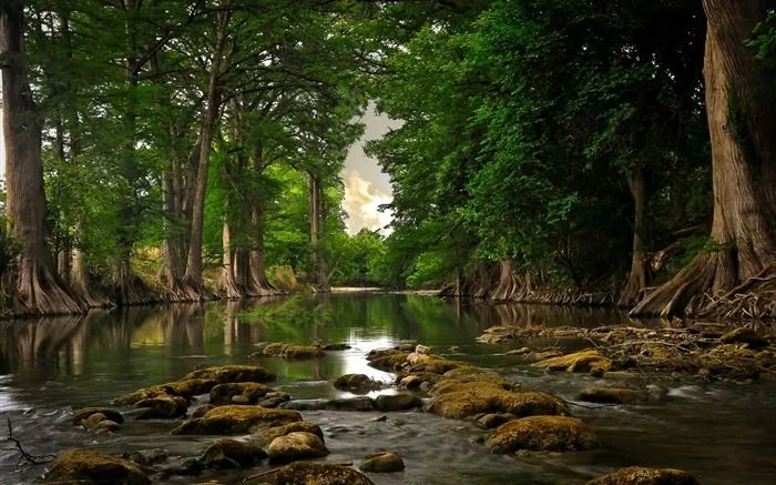 Impresionantes fondos de pantalla HD naturaleza #10 - Fondo de ...