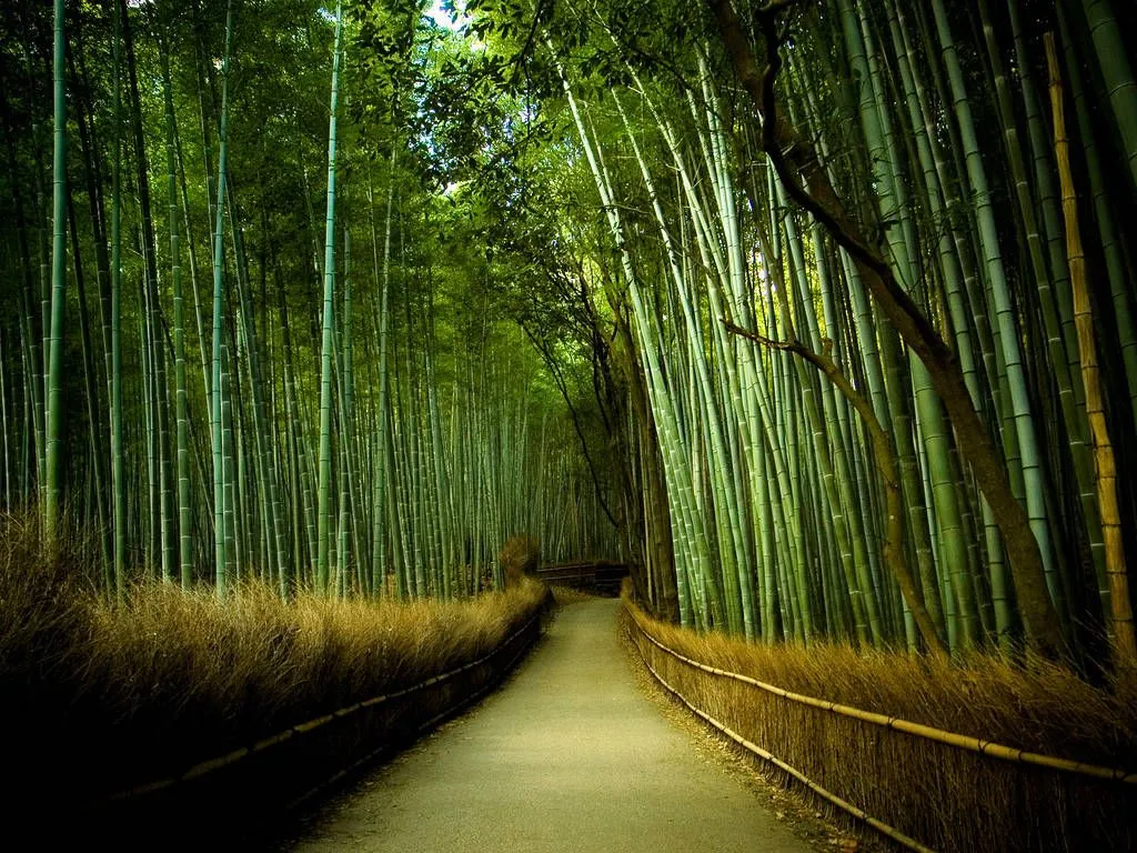 Impresionantes Paisajes Del Mundo [Fotos HD] - Taringa!