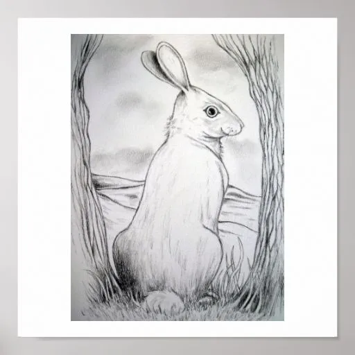 impresion_del_arte_del_conejo_ ...