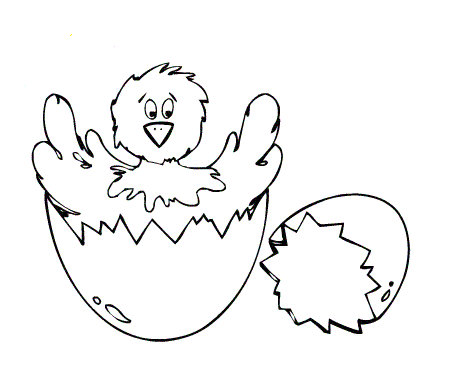 Imagen de pollito en cascaron - Imagui